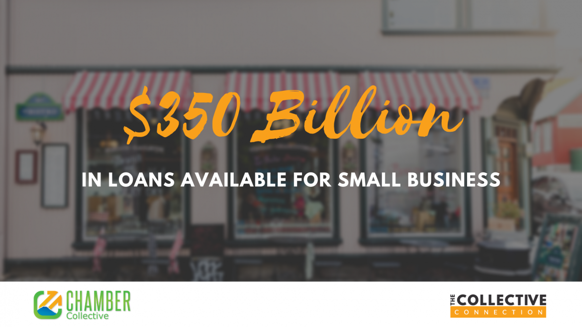 Small Business Administration Loans