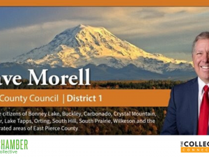 A Letter From Council Member Dave Morell