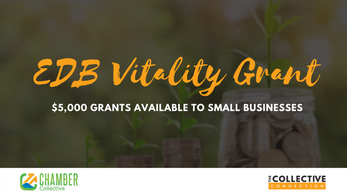 EDB Vitality Grant